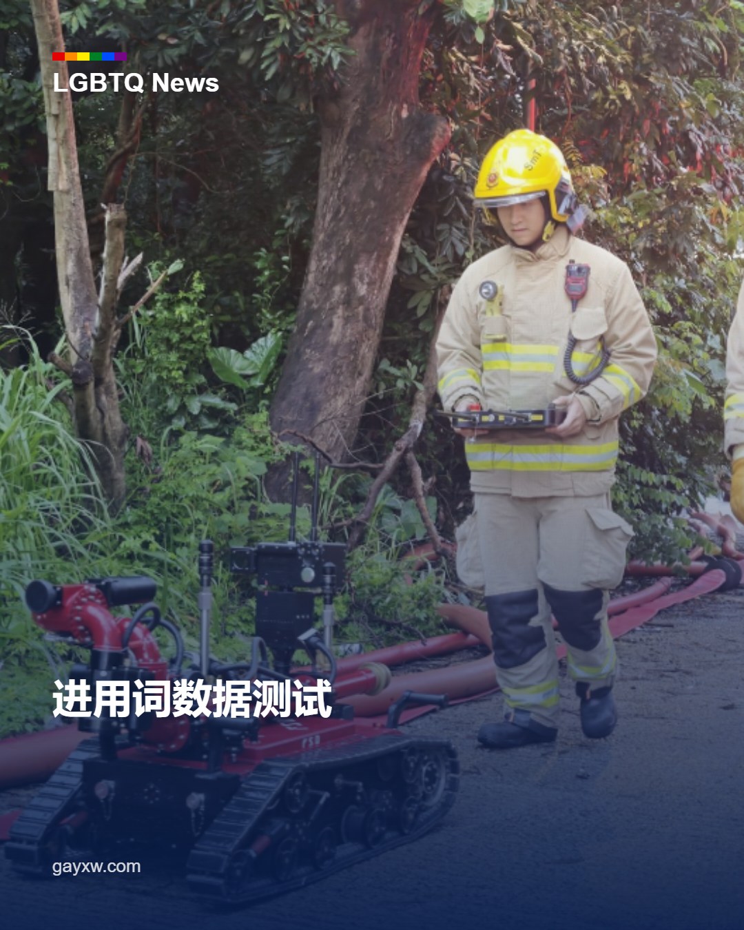 焦点数据测试